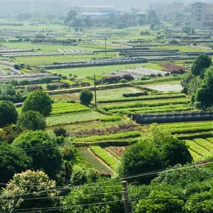 郴州市苏仙区新叶苗圃