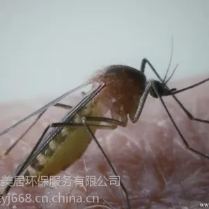 ��ݸ�ϳ������ӣ��ϳ����ó棬�ϳ�����Ӭ