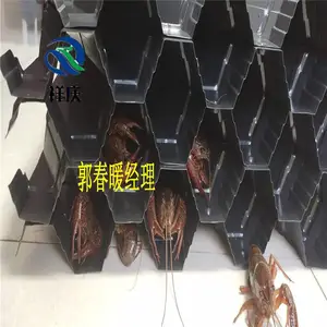 ģ����Ȼ��Ѩ��С��Ϻ�� ��ɫ��ɫPVC���� �ӱ�����