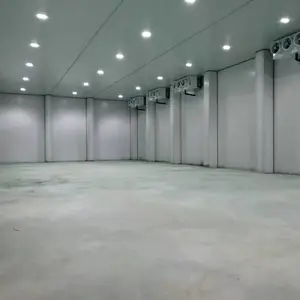 闵行冷库出租，可自管450平小仓库，双温库出租