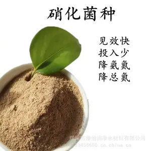 生物菌种--硝化菌 反硝化菌种厂商直发 河南豫佰润大厂直供