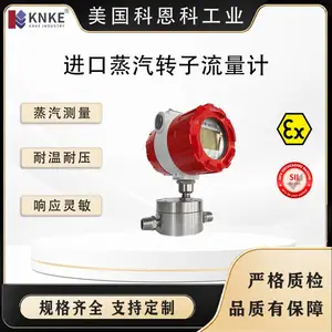 进口蒸汽转子流量计 蒸汽介质在线测量 能源管理应用 美国KNKE科恩科