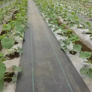 厂家销售防草布