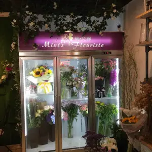 ���������ʻ�չʾ�� �����ʻ���ع� �ʻ���ĵ����¶ȷ�Χ�Ƕ��� ���ƻ���