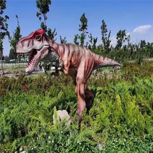��������ʨ���� ����ʨ��Ⱥ���� �Ļ��㳡�ڼ�