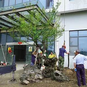 苏州厂区绿化 苏州工厂绿化 苏州小区绿化 苏州别墅绿化公司