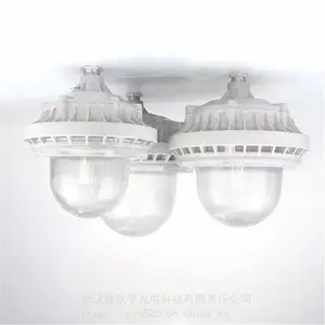 LED������GB206-L50 ����LED���ܵ� ��ˮ��������LED��