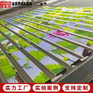 ����ɫ���� 3D��ӡ����ͨ UV������ �ʻ淽ͨ����ǽ���ƹ����ȫ