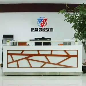 东莞市鹏晟智能安防科技有限公司