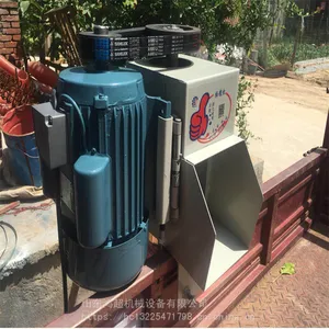 �綯��ɳ�� �������������ͻ� 220V�綯����ʽ������