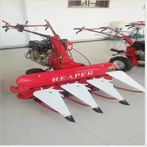 ��ʽ����ʽС�������ഢ����ɹ�� ���׽ոѸ��е�ո��е