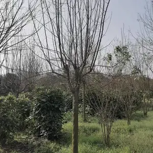 �Ĵ��������Ĺ�Ӧ���أ��߸˺�������8���ֱ������ļ� ��