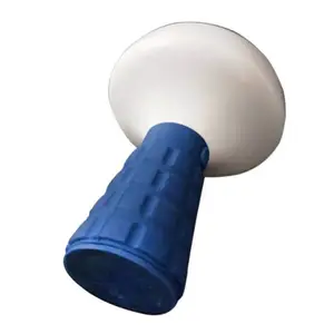 �๦�ܷ����SW2170�������ʽ�����ⷺ�⾯ʾ���Ģ��ͷ�ֳ��е�