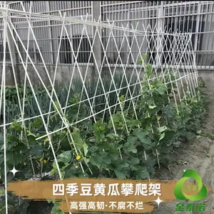 玻璃纤维杆豆角爬藤架黄瓜架10mm粗搭建立体种植架 金泰诺