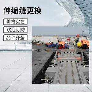国标桥梁伸缩缝 C 型 F 型 Z 型 L 型伸缩缝 公路工程伸缩装置现货