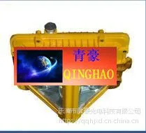 ����|QINGHAOPAI|LED|���÷����������|DGS70/127B��C��D|70W|��������
