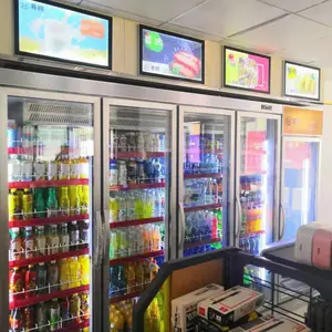 三盾冷链咸宁松下便利店冷柜饮料柜保鲜展示柜