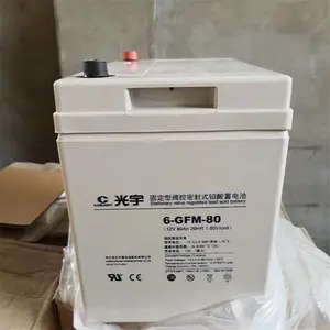 ��������6-GFM-38 12V24AH/20HR ��ά��Ǧ������12V24AH����/ֱ����ר