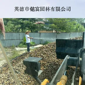 广 东现货鹅卵石 园林铺路造景 污水处理滤料卵石厂家直发