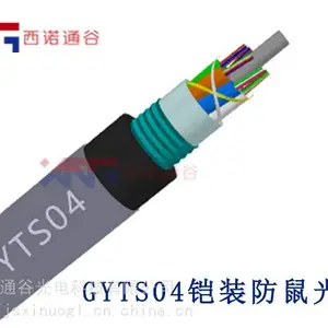 防鼠光缆GYTS04-24B1 厂家直销3天发货