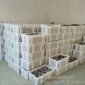 食用菌接种塑料筐灭菌周转筐加厚胶框收纳整理胶箱