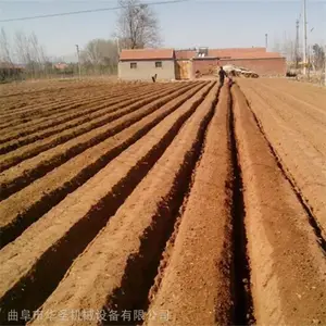 �ֵع���ͷ������¢�� ��з⽪������ ����ֱ��