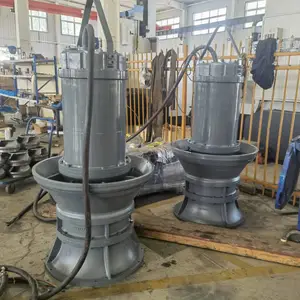 ������ˮ�ŷű�վ 600QZB��������Ǳˮ������ ��ʽũ���ȴ�����