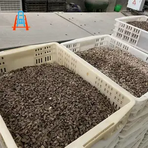 ��ĥĥ����ĥʯ��ĥ����ĥ����ĥʯ��ĥ����ĥ���ظ���б����