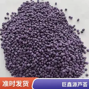 北京丰台鑫航育 6 号 F1 芦笋种子 无性系杂交一代 高产大笋京郊芦笋种籽