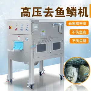 赣云 GY-QLJ-700 高压水流去鱼鳞机 商用全自动连续式刮鳞机 水产厂饭店鲈鱼草鱼去鳞设备
