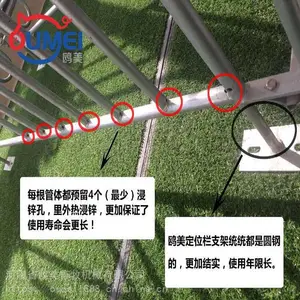 Ÿ��ĸ����λ��
