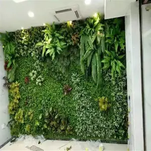 ��ֲǽ���Ϸ���ֲ��ǽװ���������������˹��ڹҼٲ�Ƥ������ǽ