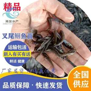 �㽭��Ԫ�ز�β�t���� �߲�����β�t���� ��β�t������ͷ***