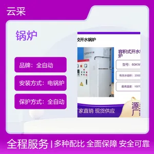 30万大卡低氮铸铝锅炉 燃气取暖锅炉 源头直采