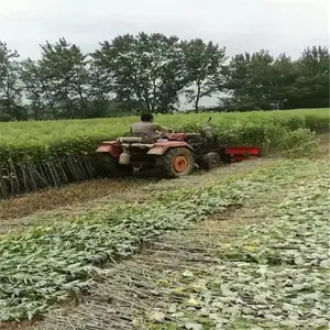 120��ĸ���ո����������ҩ���ո�������ձ���С�͸�ɹ��