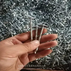 金冠 镀锌麻花瓦楞钉 伞帽钉 规格齐全
