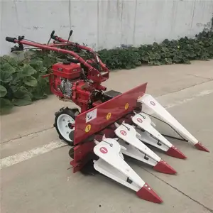 ������������ո��-����֥��ոѸ��--���׽ոѸ�����ɹ���۸�