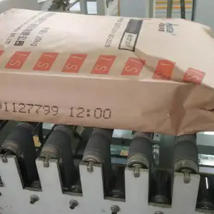 牛皮纸袋子上打型号日期的打码机_励硕LS-D07流水线式型号日期喷码机打码机设备
