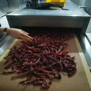 小型辣椒烘干设备 果蔬食品烘干机 微波辣椒干燥设备