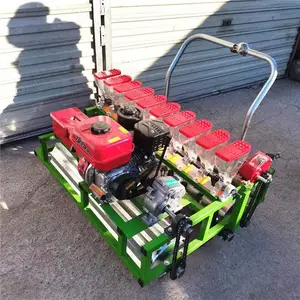 �綯�߲˲��ֻ� ����ʽ�߲˾����� ����ҩ����ֲ��