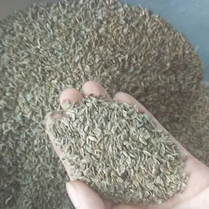 ǧ�������ϵ��ϴ��˻�����Ϻ���±��������ȫ������ǧ�����