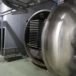 榴莲脆片低温脱水冻干机 真空冷冻干燥机真空冻干机 食品低温脱水冻干设备