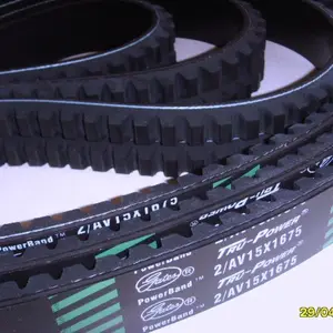 ������Ƥ�� 13���յ����Ǵ� 15�����ȳ��δ� 20�������������