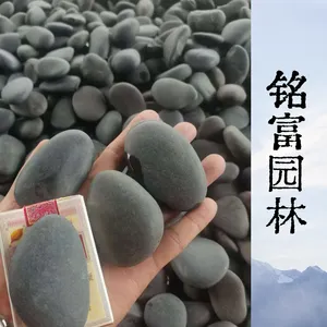 4-6公分黑色鹅卵石 景观铺路水洗黑石 造景枯山水砾石直供