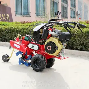 �������������� ����ʽ������ �̻�רҵ������
