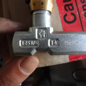 Tognella Microfine单作用流量控制阀FT 1237/5的参数
