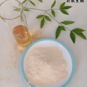 大豆蛋白胨 植物大豆蛋白胨 高氮含量大豆蛋白胨