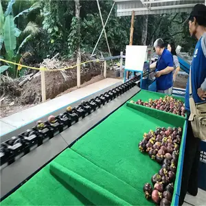 ���Է�ѡ���������� ɽ����ѡ��С ���߷�ѡ�ּ� �๦�ܷ�ѡ�豸