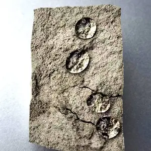 龙晨 透气不透水砂浆添加剂 聚合物防水砂浆专用添加剂使用方法 防潮、防霉***