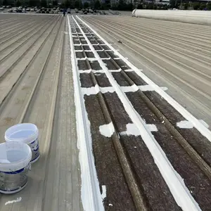 成都市屋顶漏水不用愁,蜀禹防水专业治理屋面渗漏,屋顶花园防水工程施工